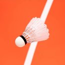 LOTKI DO BADMINTONA VICTOR CARBONSONIC NCS PRO - 12 SZT.