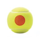 METODYCZNE PIŁKI TENISOWE WILSON STARTER ORANGE 48 SZT